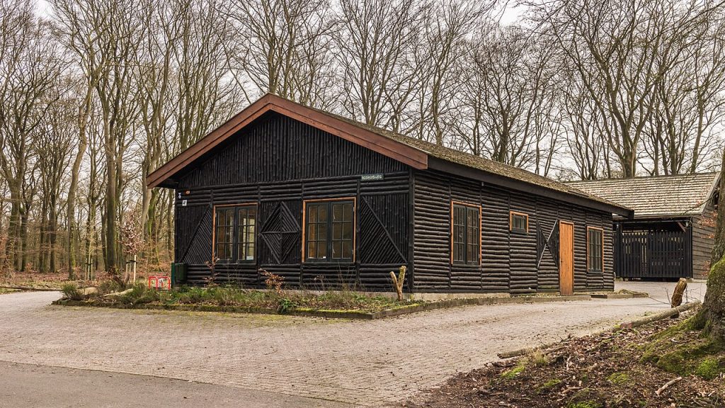 Groep wandelaars op nachtwandeling door het bos op de Veluwe bij Apeldoorn