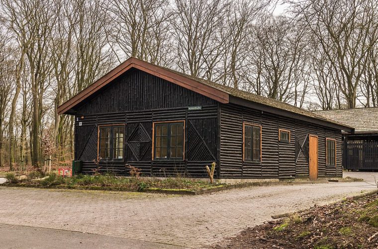 Groep wandelaars op nachtwandeling door het bos op de Veluwe bij Apeldoorn