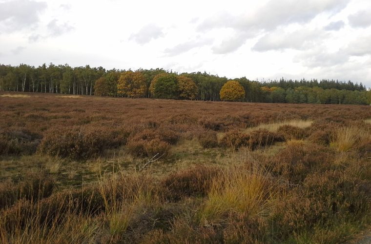 Apeldoorn — loenermark