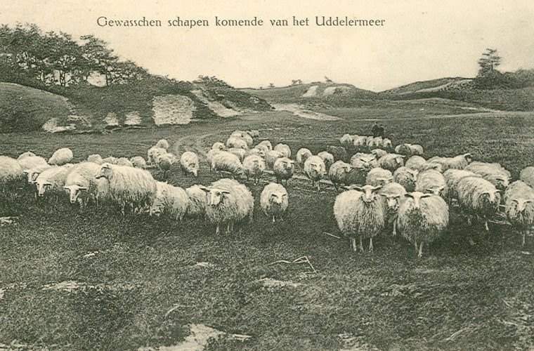 Expositie Atlas van Apeldoorn: Uddel