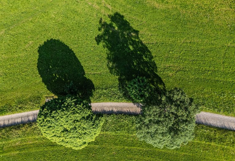 Wandeling Apeldoornsche Bosch — Natuur in Apeldoorn