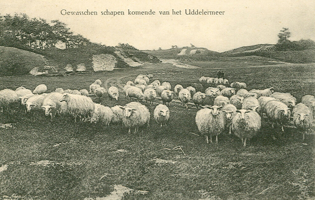 Expositie Atlas van Apeldoorn: Uddel in Apeldoorn
