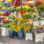 Zomerfair Operaplein Apeldoorn