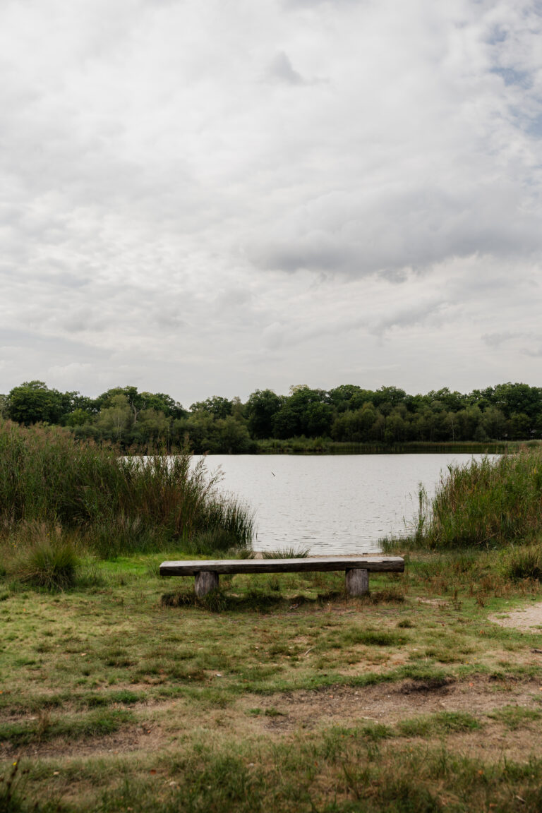 Wandeling Uddelermeer/Hunneschans – Atlas van Apeldoorn — Natuur in Apeldoorn
