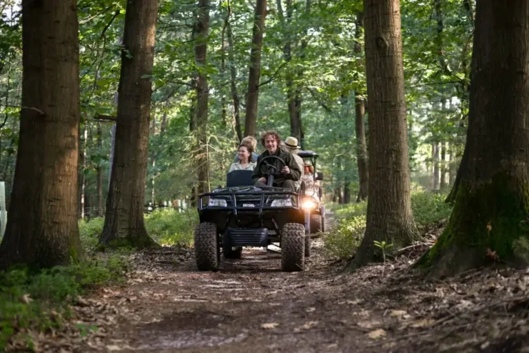E-Safari Veluwe — Natuur in Apeldoorn